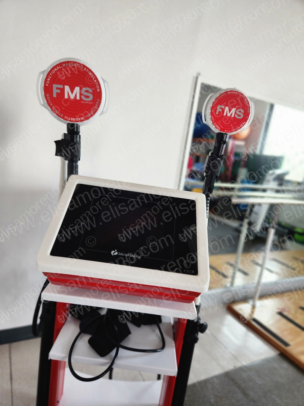 Tesla Stym - Functional Magnetic Stimulation